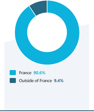 Revenue breakdown geographical areas